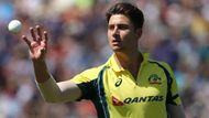 Image result for Marcus Stoinis
